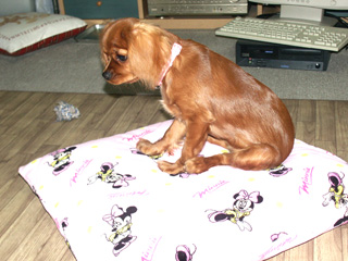 2007.10.13-1.jpg