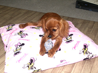 2007.10.13-2.jpg
