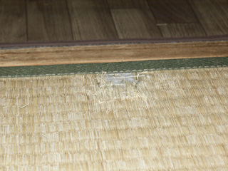 PICT00035.jpg