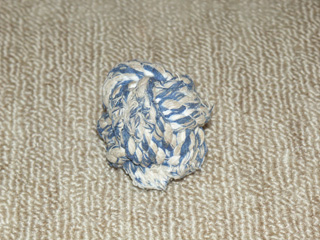 PICT00043.jpg